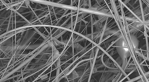 What is it MIRRAGEN? A novel material composed of micron to submicron-sized bioactive borate- based glass fibers